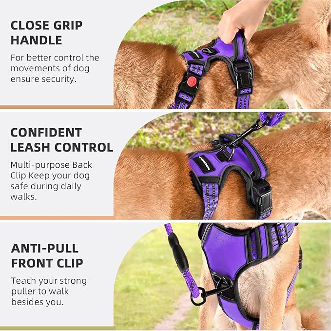 No Pull Dog Harness with A Free Heavy Duty 5ft Dog Leash, Adjustable Soft Padded Dog Vest, Reflective No-Choke Pet Oxford Vest with Easy Control Handle for Small and Large Dogs (Purple, Small)