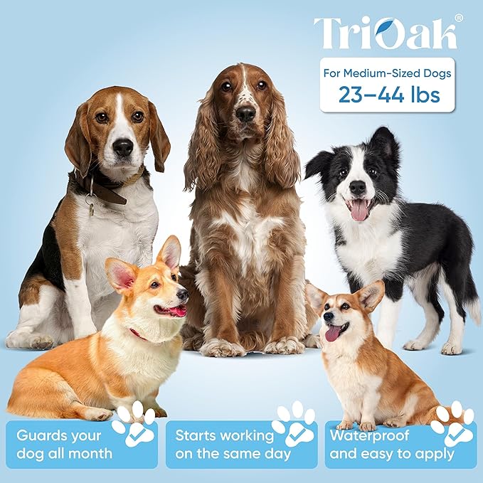 Flea and Tick Prevention for Dogs, 6 Doses Dog Flea Treatment for Medium Dogs 23–44 lbs, Fast Acting, Long Lasting Protection, Flea and Tick Control for Home and Outdoor Use, 6 Month Drops