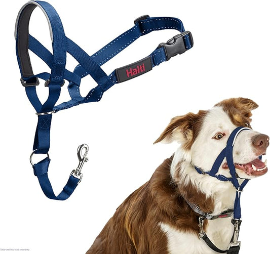 Halti Headcollar - Stop Your Dog Pulling on The Leash. Adjustable, Reflective and Lightweight, with Padded Nose Band. Dog Training Anti-Pull Collar for Medium Dogs (Size 2, Cobalt Blue)