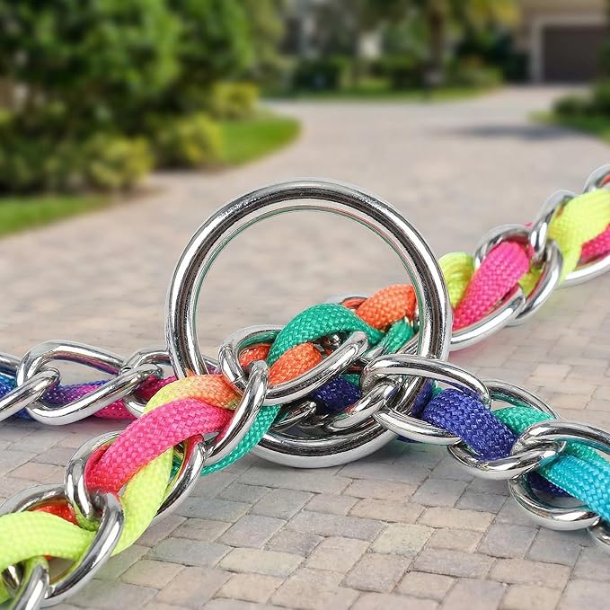 Chew Proof Metal Dog Leash with Built-in P-Chain Collar - 2FT/4FT for Small/Medium/Large Dogs (30-150lb), Anti-Bite Chain Link with Soft Padded Handle, 360° Rotating Clasp Colorful