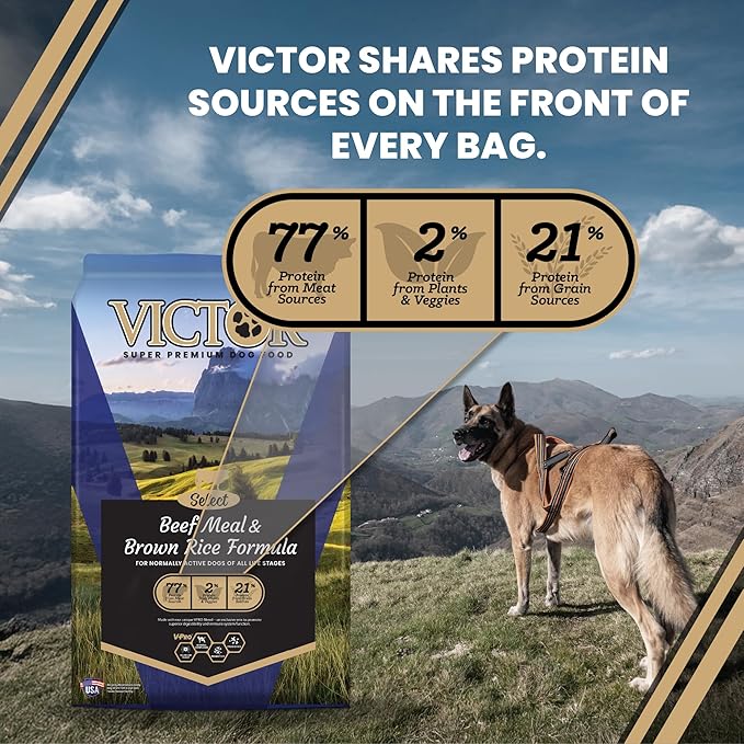 VICTOR Super Premium Dog Food – Select Beef Meal & Brown Rice Formula for Immune and Gut Health – Gluten-Free Beef Meal Dry Dog Food for All Normally Active Dogs of All Life Stages, 5 lbs