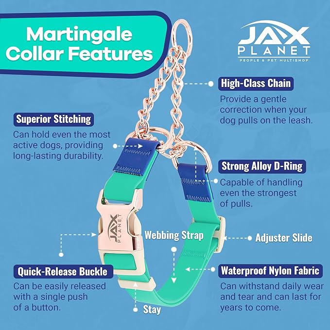 Jelly Waterproof Martingale Dog Collar, No Pull Nylon Collar with Alloy Metal Buckle & D-Ring for Outdoor Training and Walking, Anti Pull, Escape Free, One Time Adjustment - Turquoise & Blue, L