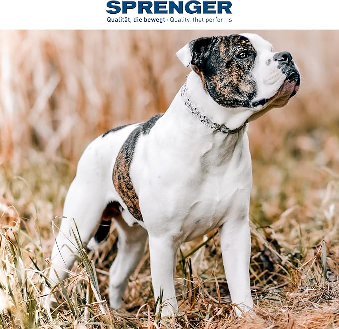 Herm Sprenger Dog Training Prong Collar with Swivel D-Ring, 3 Extra Links, 30 Comfort Tips for Small Medium Large Dogs Stainless Steel No-Pull Collar Made in Germany (Small-Medium)