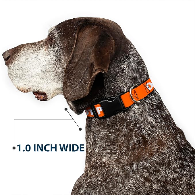Buckle-Down Dog Collar Plastic Clip Pet Quote Do Not Pet Orange White 18 to 32 Inches 1.5 Inch Wide