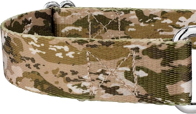 Country Brook Petz - Desert Viper Camo Martingale Dog Collar - Camouflage Collection Featuring Rugged Designs (1 Inch, Medium)