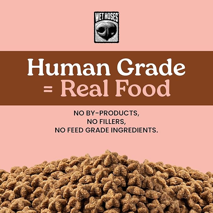 Wet Noses Training Treats – All-Natural, Human-Grade, Non-GMO, Healthy Training & Delicious Snacks for Dogs, for All Dog Sizes & Breeds – Peanut Butter, 14oz (2 Pack)