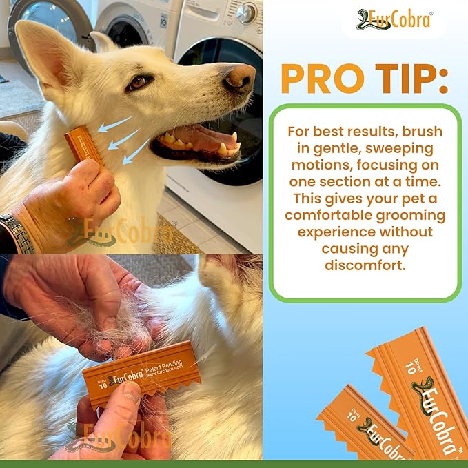 Direct 10 Pet Grooming Brush 3.54" - Gentle, No Metal Blades, Soft Dog, Cat Brush - Train Pets to be Brushed - Portable, Easy To Use Slicker Pet Grooming Tool for Dog, Cat, Puppy, Kitten Hair