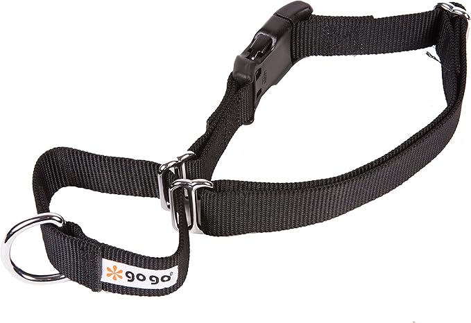 GoGo Pet Products GoGo 3/4-Inch Martingale Dog Collar, Medium, Black