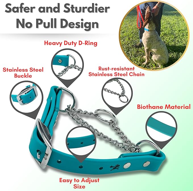 Martingale Collar for Dogs, Biothane, Stainless Steel Hardware, No Pull, Made in The USA, Professional Grade, Medium, Teal