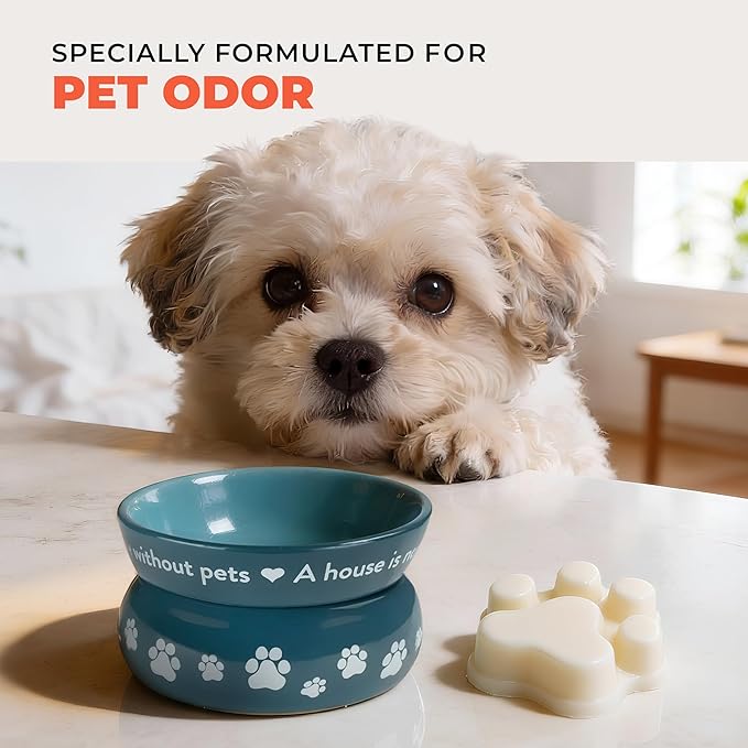 Pet House Wax Melts Mango Peach Spring Scented Wax Melts for Warmer- Long-Lasting Plant Based Air Freshener for Pet Odor Pack of 2