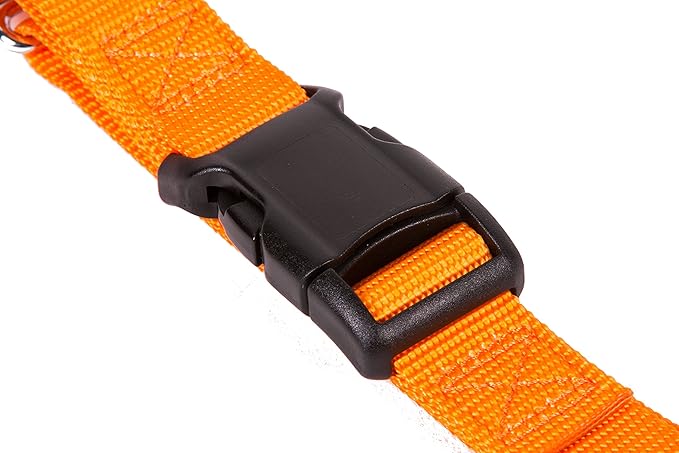 GOGO Pet Products 3/4-Inch Martingale Dog Collar, Medium, Orange