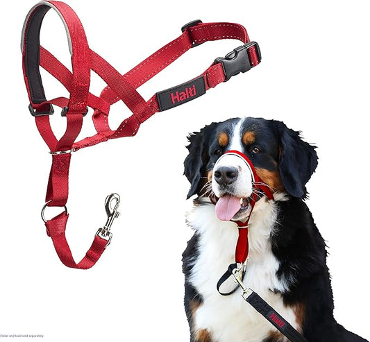 Halti Headcollar - Stop Your Dog Pulling on The Leash. Adjustable, Reflective and Lightweight, with Padded Nose Band. Dog Training Anti-Pull Collar for Large Dogs (Size 4, Red)