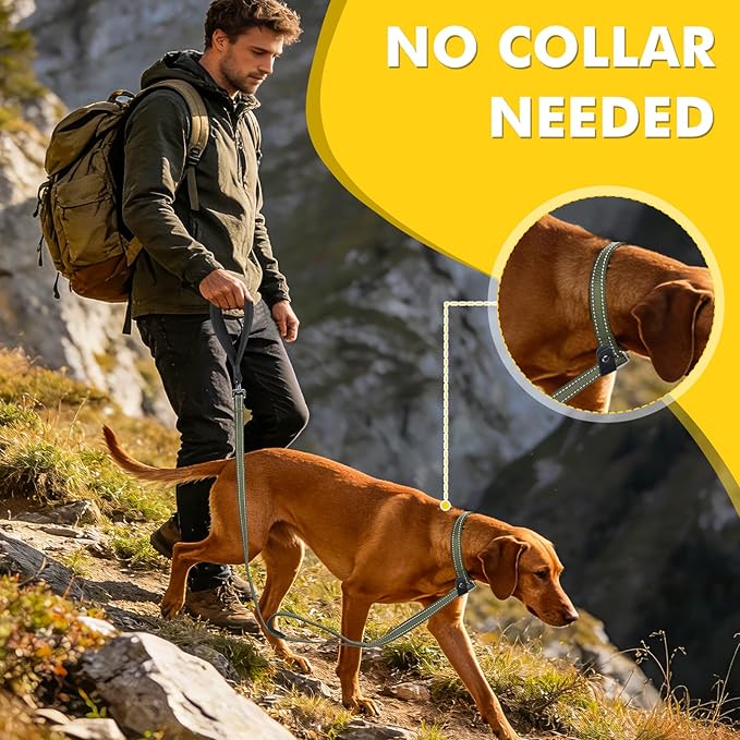 XiaZ 6FT Dog Leash with Comfortable Flat Collar and Soft Padded Handle,Nylon Reflective Double Handle No Pull Leash for Small Medium Large Dogs, Training Walking Running (Green)