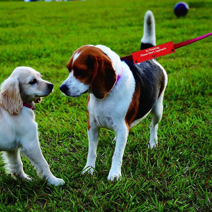 Funny Dog Leash Sleeve in Training Please Don't Approach Dog Leash Wrap Wrap Alert Hanging ID Patch Tag(Don't Approach-Sleeve)