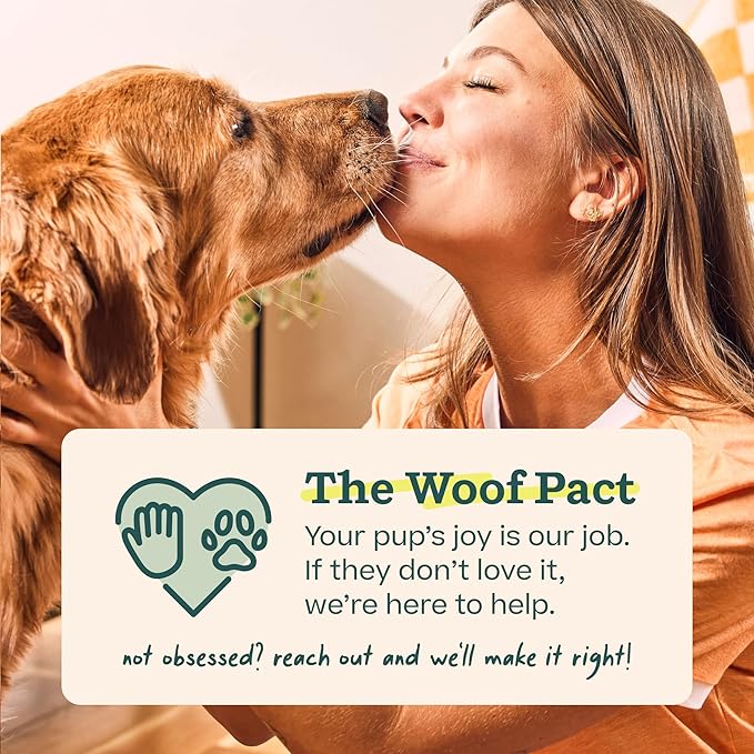 WOOF Pupsicle Refill Pops - Low-Mess Dog Snacks - with Peanut Butter and Beef - Dog Treats - Long Lasting - XL Pops - 5 Count