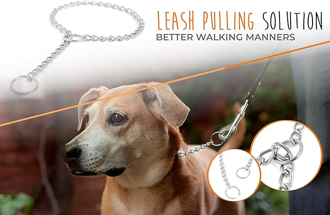 Mighty Paw Slip Collar - Stainless Steel - Weather Resistant - Tarnish Proof - Durable Chain Dog Choke Collars - No Pull Dogs Training - Strong and Premium - Metal Chain (16")