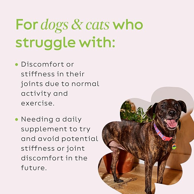 Super Snouts Joint Power 100% Green Lipped Mussels for Dogs & Cats - Dog Joint Supplement Powder Supports Joints, Tendons, Ligaments (2.64 oz)