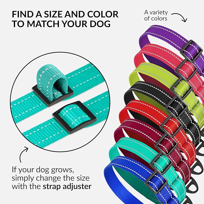 Collardirect Reflective Martingale Dog Collar Nylon Training Collars for Small Medium Large Dogs Puppy Pink Orange Green (S, Neck Size 11"-15", Mint Green)
