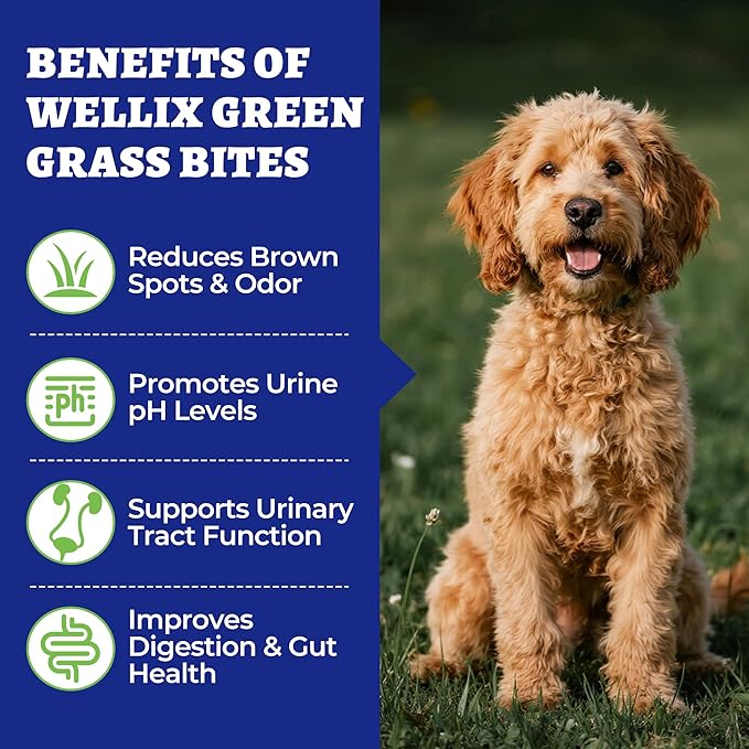 260 Bites Green Grass Bites for Dogs - Grass Savers for Dog Urine, Green Lawn Chews with Crabberry & Probiotic & Digestive Enzymes for Urinary Tract & Bladder - Chicken Flavor