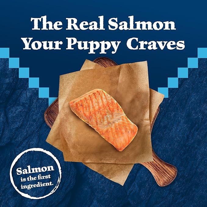 Blue Buffalo Wilderness High-Protein Natural Dry Food for Puppies, Salmon Recipe, 13-lb. Bag