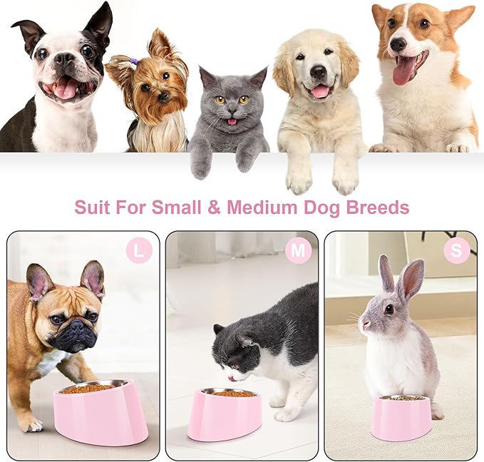 Tilted Dog Bowl Non-Slip & Non-Spill Pet Feeder with Elevated Detachable Melamine Stand, Easy to Get Food Dog Dish, L/300ml Pink
