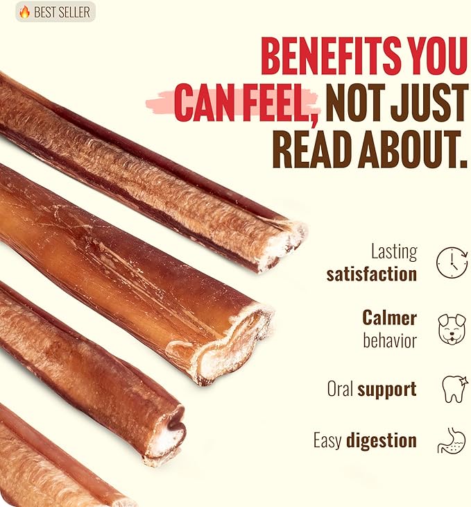 Natural Farm Odor-Free Thin Bully Sticks (4”, 24-Pack) All-Natural Long-Lasting Dog Chews, 100% Beef Pizzle, Grass-Fed, Grain-Free, Protein for Muscle Development & Energy, Perfect for Small Dogs