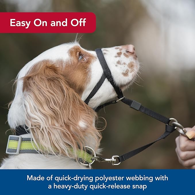Coastal Pet Walk 'n Train Dog Head Halter - Head Colllar Dog Leader - No-Pull Pet Harness - Quick-Drying Polyester - Black - Medium