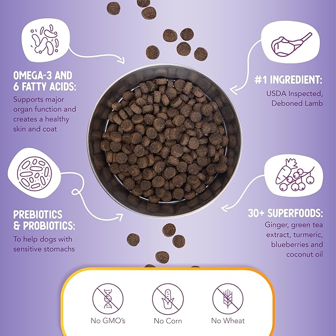 Health Extension Lamb & Brown Rice Dry Dog Food, Protein Packed Formula with Probiotics & Superfoods for Digestion & Coat Health (15 lb)