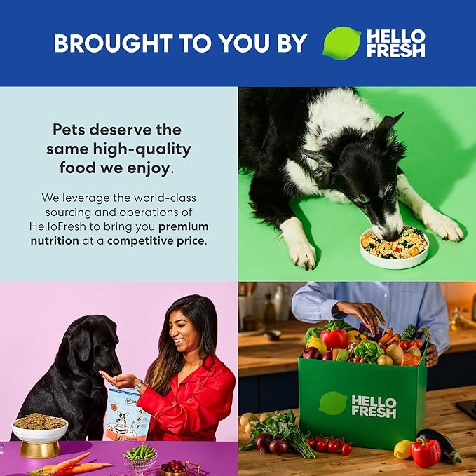 The Pets Table Beef & Berries Grain-Free Air Dried Dog Food, 3lbs / 48 oz Bag