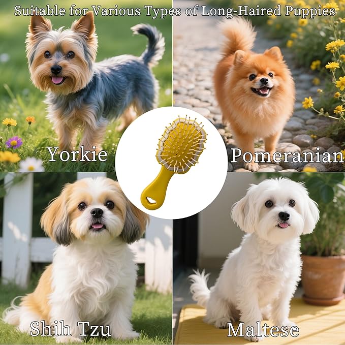 Gentle Cloud Air Cushion Brush Small Dogs Grooming with Gift Box, Fit for Yorkie, Shih Tzu, Pomeranian, Maltipoo, Maltese, Toy poodle, Puppy Essentials (Yellow)