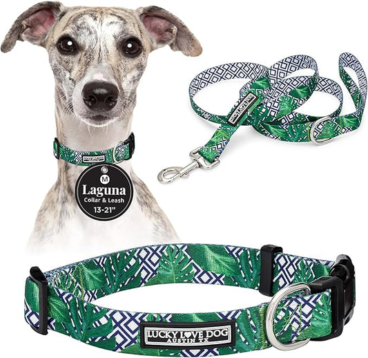 Lucky Love Dog Collar and Leash Set, Beautiful & Vivid Patterns, Easy On & Off Clasp Accessory (Blue Laguna, M Combo)