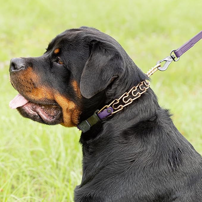 Herm Sprenger Curogan Dog Collar with Short Links and Quick Release ClicLock Buckle and Biothane Insert Made in Germany 20in x 3.0mm (Neck Size up to 16-17in) (Violet Purple)
