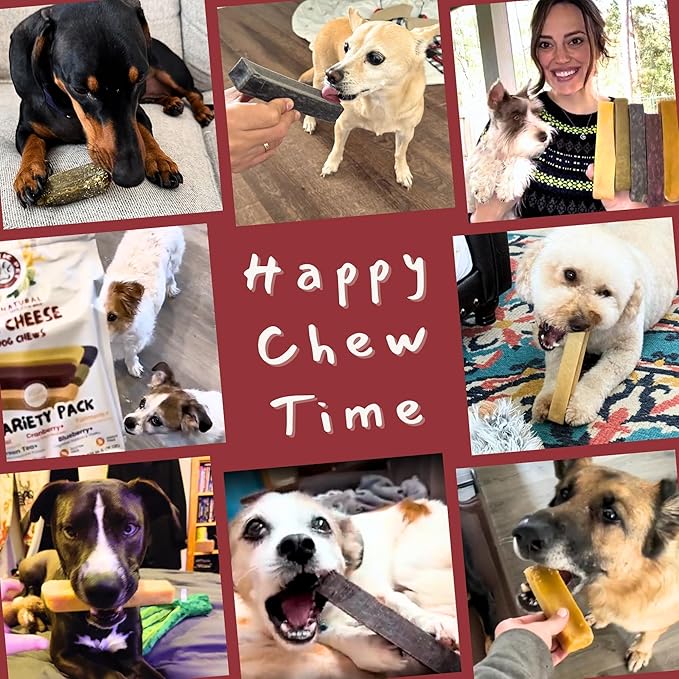 Majestic Pet Himalayan All-Natural Cheese Dog Chews - Long Lasting Dental Chew for Dogs - Healthy Pet Treats with Beneficial Ingredients (Digestive & Immune Support, Regular, 5 Pack)