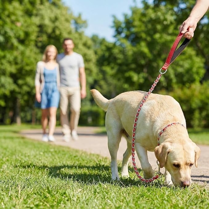 Chew Proof Metal Dog Leash with Built-in P-Chain Collar - 2FT/4FT for Small/Medium/Large Dogs (30-150lb), Anti-Bite Chain Link with Soft Padded Handle, 360° Rotating Clasp Red