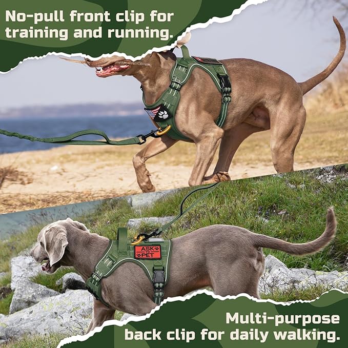 rabbitgoo Tactical Dog Harness for Small Dogs, No Pull Military Service Vest with Handle & Molle, Easy Control for Training Walking, Adjustable Reflective Straps, Green, S