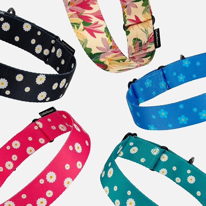 CollarDirect Martingale Collars for Dogs Heavy Duty Floral Pattern Female Safety Nylon Training Wide Collar Flower Design Large Medium (L, Neck Size 15"-20", Aquamarine)