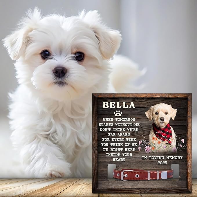 Dog Memorial Frame with Collar Holder Personalized Dog Photo Display for Loss of Pet Pet Remembrance Shadow Box Gift 8" x 8" Maple Wood Frame Color: Without You