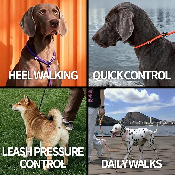 Dog Anti-Slip Leash 5FT with Metal Stopper - Durable No-Pull Training Lead for Small, Medium & Large Dogs - Comfortable Handle Nylon Rope, Tangle-Free Pet Walking Leash (Green, 5 FT)