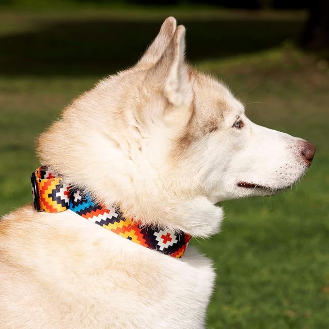 CollarDirect Aztec Martingale Collars for Dogs Heavy Duty Tribal Pattern Safety Nylon Training Collar Large Medium Small (Aztec, L, Neck Size 15"-20")