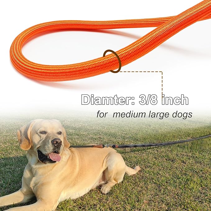 20FT Dog Tie Out Leash, Long Tether 15ft 30ft 50ft 65ft Nylon Rope Check Cord for Medium Large Dogs Indoor/Outdoor Playing Camping Backyard (Orange, 3/8")