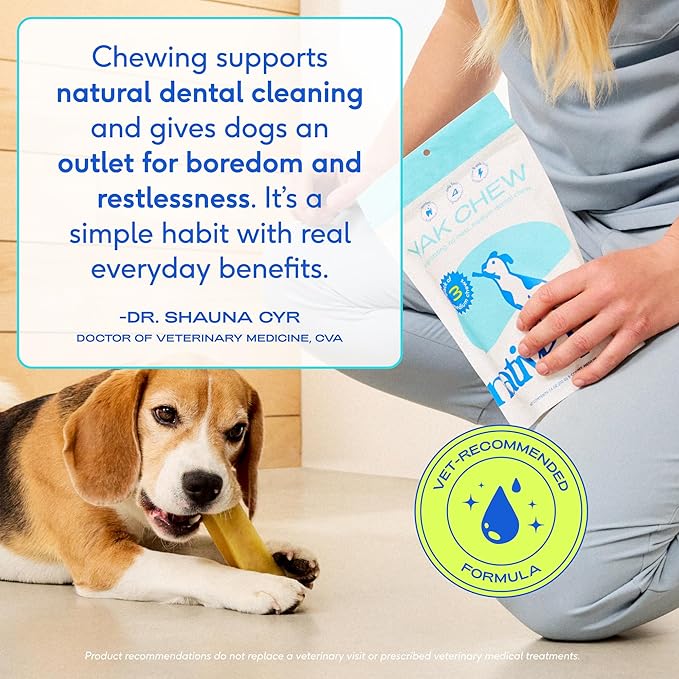 Native Pet Yak Cheese Himalayan Dog Chews - Long Lasting Dental Sticks for Medium Breeds – 100% All Natural Himalayan Yak Chews for Medium Dogs – Cheese Bone for Aggressive Chewers - 10 Per Pack