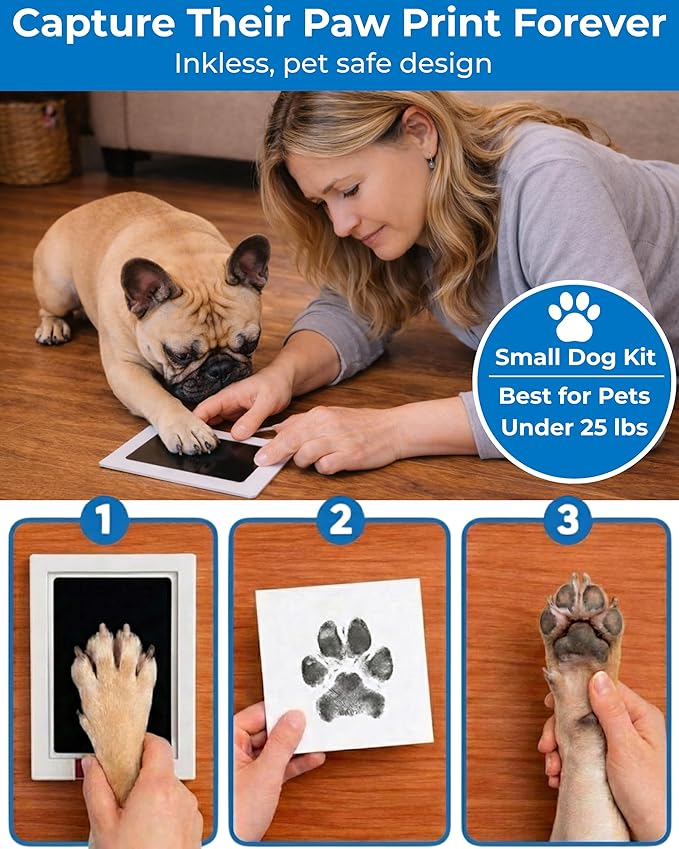 Dog Urn for Ashes, 4 Customizable Displays with Paw Print Ink Kit and Flannel Bag, Pet Urns for Dogs Ashes, Pet Cremation Box, Cat Urn for Ashes, Dog Ashes Keepsake (Black Small)