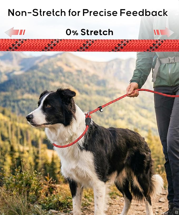TagME Slip Leads for Dogs that Pull, 6 FT No-Pull Training Leash with Lock, Escape-Proof Design, Reflective & Padded Handle for Medium Dogs, Hot Pink
