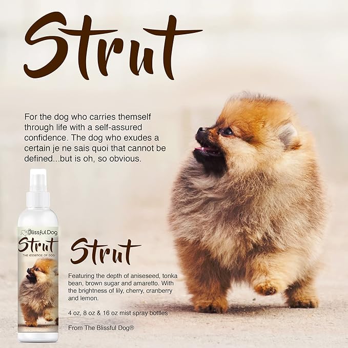 The Blissful Dog Strut Dog Cologne, 8 oz.