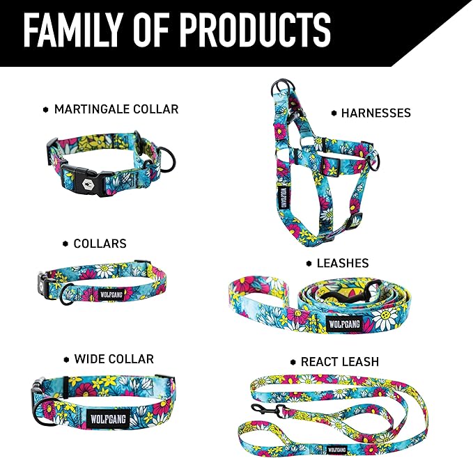 Wolfgang Heavy Duty Martingale Dog Collar with Quick Release Nylon Buckle for Walking & Training, LazyDaisy Print, Medium