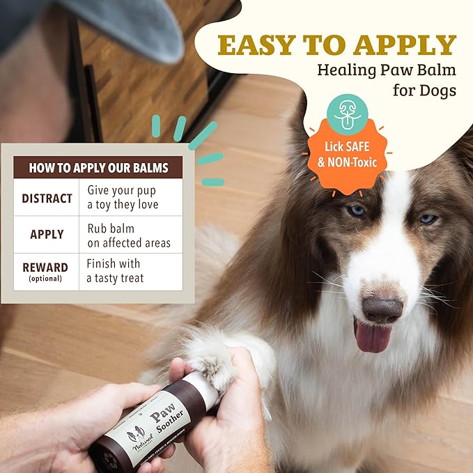 Natural Dog Company Paw Soother Balm & Wax - Dog Paw Balm & Moisturizer for Dry, Cracked Paw Pads, Helps Moisturize & Condition Winter-Worn Paws, Coconut Oil & Calendula, Daily Paw Care, 2 oz Stick