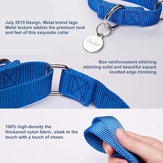 Martingale Dog Collar, No-Buckle Escape-Proof Design, Heavy-Duty Nylon and Welded D-Ring, Adjustable Training Collar for Medium Large Dogs (Royal Blue, L)