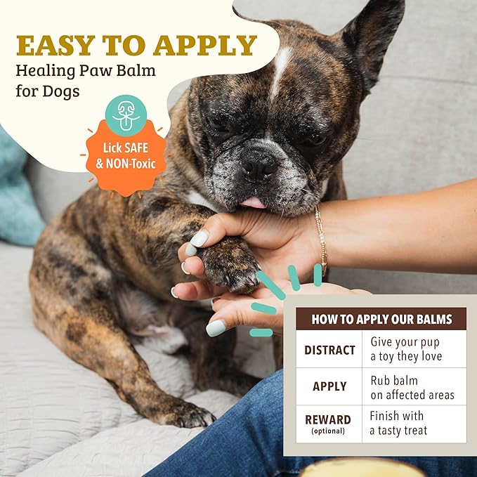 Natural Dog Company Paw Soother Balm & Wax - Dog Paw Balm & Moisturizer for Dry, Cracked Paw Pads, Helps Moisturize & Condition Winter-Worn Paws, Coconut Oil & Calendula, Daily Paw Care, 1 oz Tin