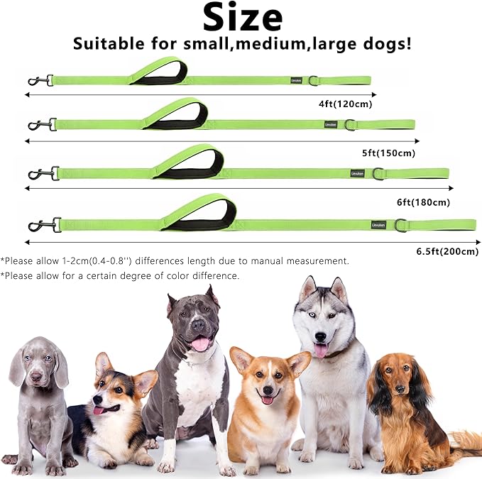 Dog Leash 6.5ft Long, Double Handle Dog Leash for Safety Control Training, Heavy Duty Dog Leads with Traffic Padded Handles, Reflective Leashes for Small Medium Large Dogs(6.5ft, Green)