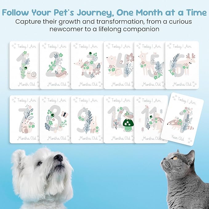 Pet Milestone Cards – Celebrate Your Pet’s Journey, Growth and Key Moments with Keepsake Cards - Perfect for Dogs, Cats, Puppies, and Kittens - Ideal as a Pet Adoption Gift, Pet Memory Book